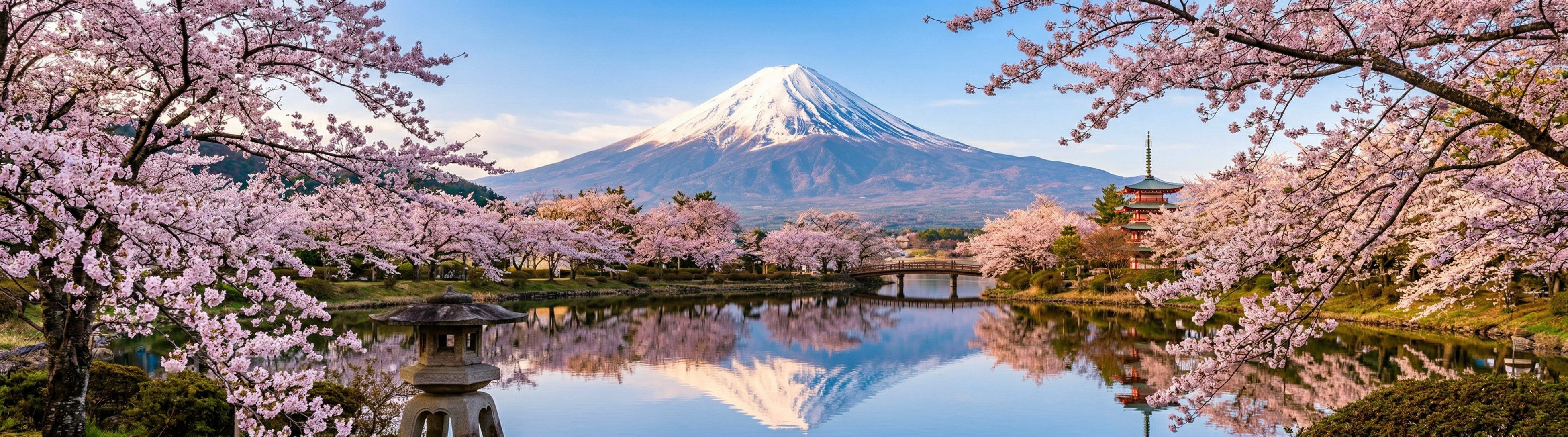 Tokyo hero